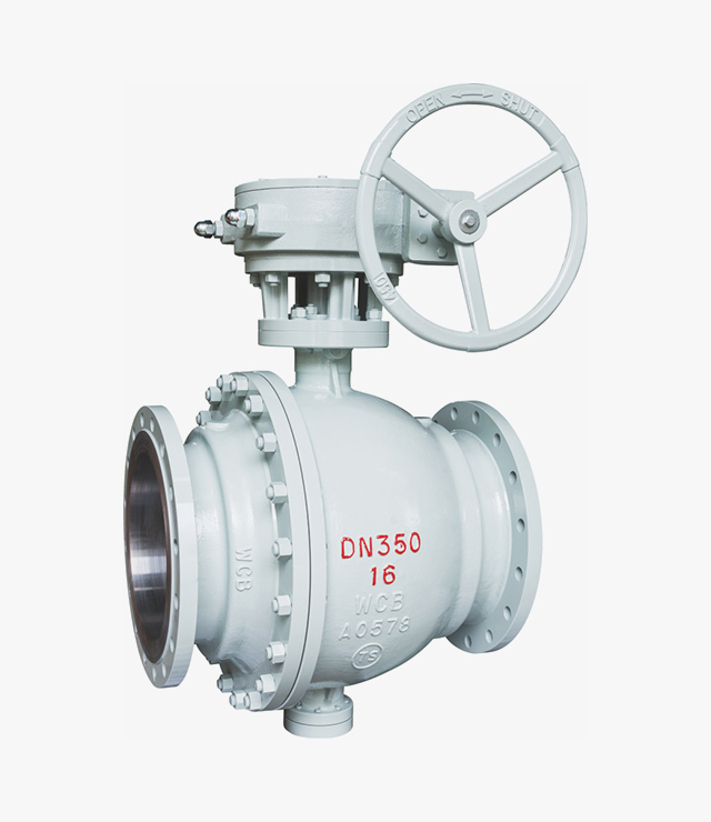 Trunnion